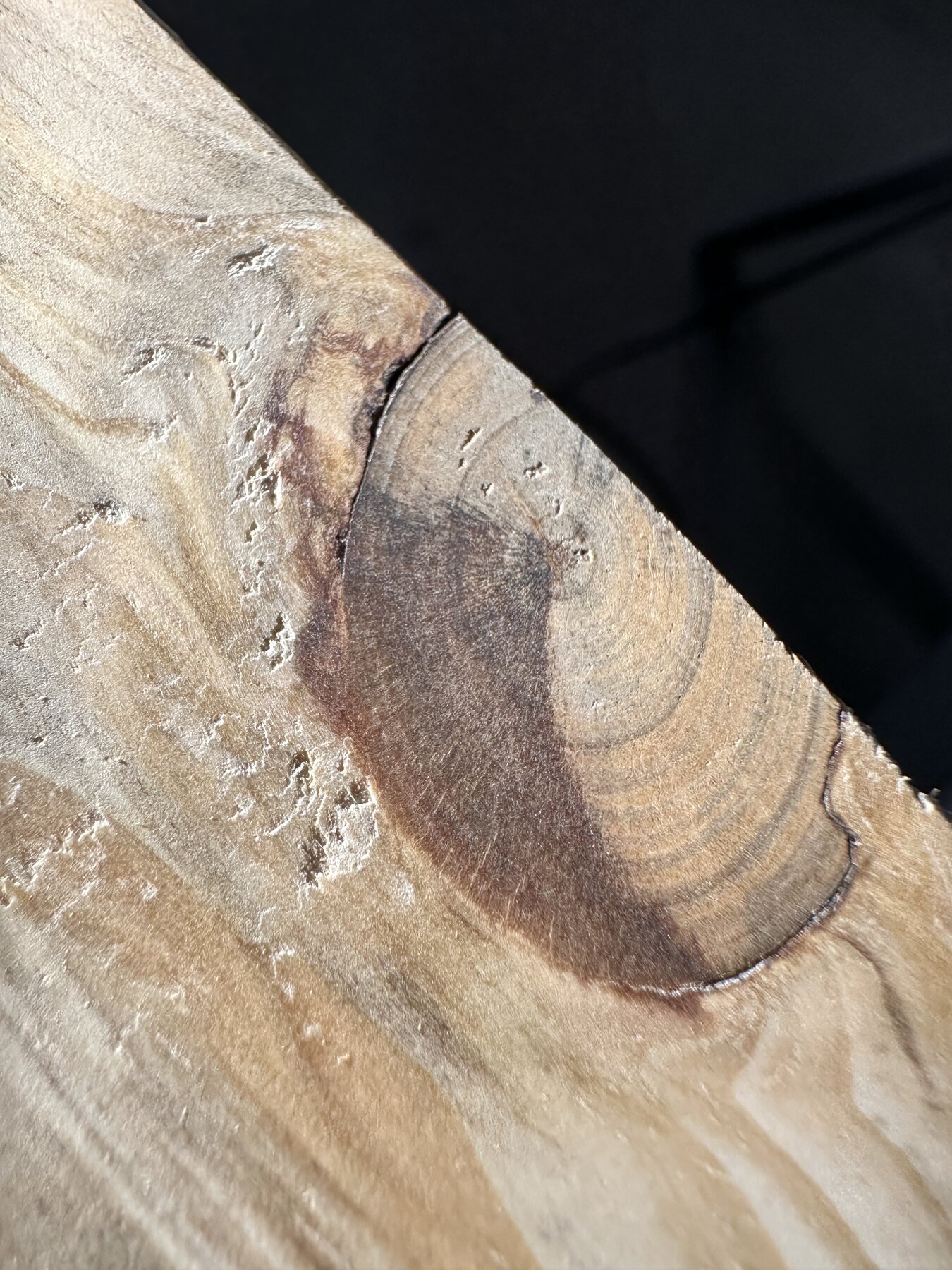 Half-round pine knot cut by the edge of the board