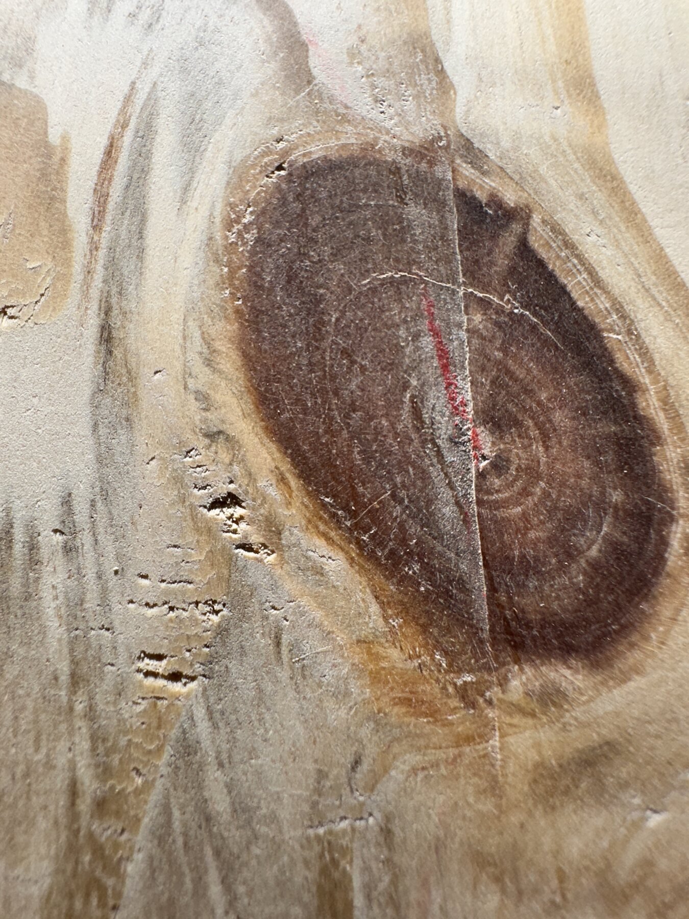 Large dark pine knot crossed by a straight dark line and natural curved crack